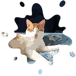 kot