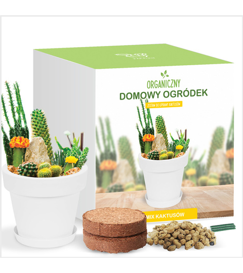 Zestaw do uprawy Kolorowe Kaktusy
